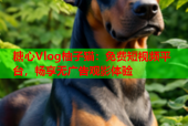 糖心Vlog柚子猫：免费短视频平台，畅享无广告观影体验