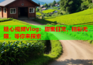 糖心视频Vlog：甜蜜日常，精彩无限，等你来探索