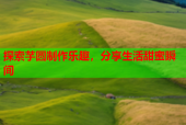探索芋圆制作乐趣，分享生活甜蜜瞬间