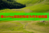 糖心vlog背后的秘密为何未被揭露