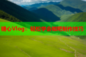 糖心Vlog：轻松学会糍粑制作技巧