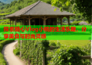 探索糖心Vlog小桃的生活乐趣，分享美食与时尚灵感