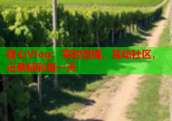 糖心Vlog：实时直播，互动社区，记录精彩每一天
