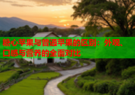 糖心苹果与普通苹果的区别：外观、口感与营养的全面对比