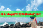 糖心vlog背后的故事与魅力揭秘
