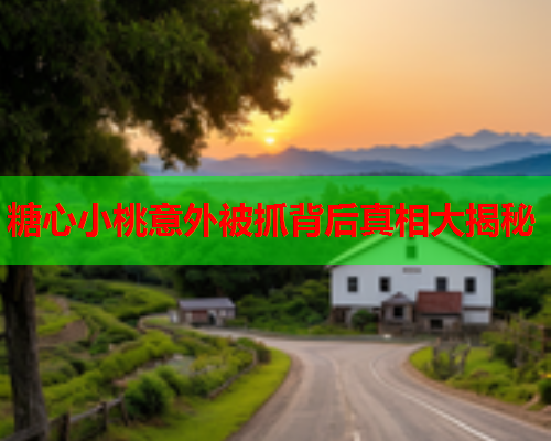 糖心小桃意外被抓背后真相大揭秘  第2张