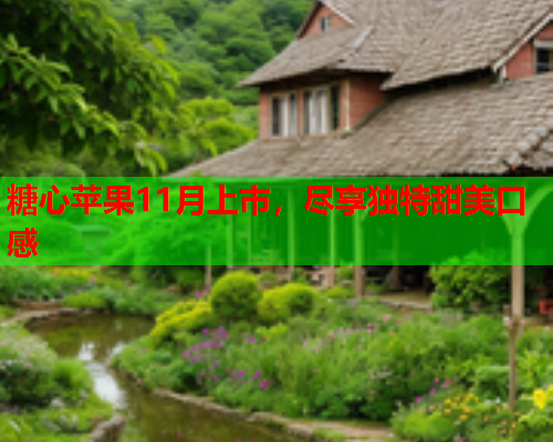 糖心苹果11月上市，尽享独特甜美口感  第1张